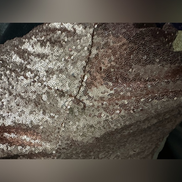 Rose gold sequin pants, torrid size 3X - Picture 2 of 4